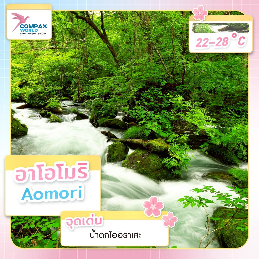 เที่ยวญี่ปุ่น ทัวร์ญี่ปุ่น เที่ยวญี่ปุ่นหน้าร้อน